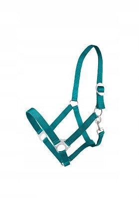 Kantar dla konia BASIS Fenix roz. Cob zielony - Cavalo